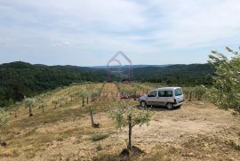 Građevinsko zemljište 1.110 m2 i poljoprivredno 120.000 m2, Draguć, Cerovlje, Terrain