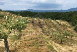 Građevinsko zemljište 1.110 m2 i poljoprivredno 120.000 m2, Draguć, Cerovlje, Terrain