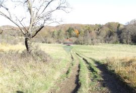 Klana - negrađevinsko zemljište, Klana, Land