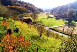 Tuhelj, Trsteno ,Kuća s velikom okućnicom, Tuhelj, Kuća