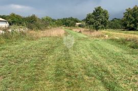 Građevinsko zemljište sa projektom kod Pule, Svetvinčenat, Terreno