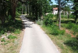 Labin, okolica, prostrano građevinsko zemljište, Labin, Arazi