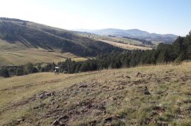 Plac Tometino polje-Divcibare, Požega, Tierra