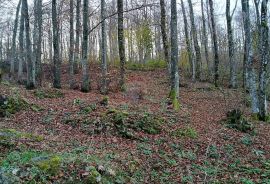 Ogulin , Vikendica ispod Kleka - oaza prirode, Ogulin, Kuća