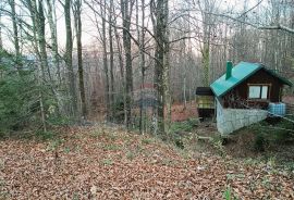 Ogulin , Vikendica ispod Kleka - oaza prirode, Ogulin, Kuća