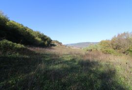 Istra - Motovun, poljoprivredno zemljište pogled Motovun, Motovun, Tierra