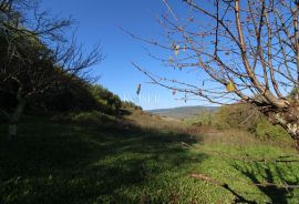 Istra - Motovun, poljoprivredno zemljište pogled Motovun, Motovun, Tierra