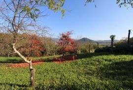 Istra - Motovun, poljoprivredno zemljište pogled Motovun, Motovun, Tierra