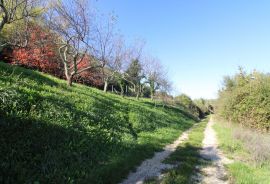 Istra - Motovun, građevinsko zemljište pogled Motovun, Motovun, Γη