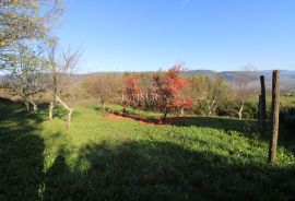 Istra - Motovun, građevinsko zemljište pogled Motovun, Motovun, Γη