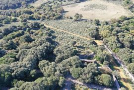 Belej, otok Cres - kameni objekt na prostranom zemljištu, Mali Lošinj, Casa