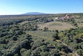 Belej, otok Cres - kameni objekt na prostranom zemljištu, Mali Lošinj, Casa