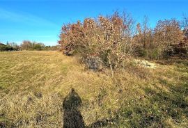 Istra,Bijažići-Građevinsko zemljište okruženo prirodom, Svetvinčenat, Terreno