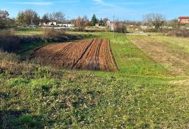 Istra,Svetvinčenat,okolica-Atraktivno građevinsko zemljište, Svetvinčenat, Tierra