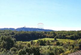 Istra, Buje okolica, prostran obiteljski stan, Buje, Apartamento