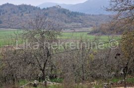 DONJI KOSINJ - obiteljsko gospodarstvo kuća, staja, drvarnica,voćnjak, Perušić, Kuća