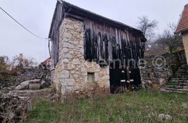 DONJI KOSINJ - obiteljsko gospodarstvo kuća, staja, drvarnica,voćnjak, Perušić, Kuća