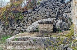 DONJI KOSINJ - obiteljsko gospodarstvo kuća, staja, drvarnica,voćnjak, Perušić, Kuća