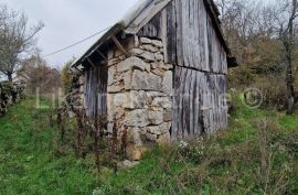 DONJI KOSINJ - obiteljsko gospodarstvo kuća, staja, drvarnica,voćnjak, Perušić, Kuća