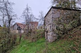 DONJI KOSINJ - obiteljsko gospodarstvo kuća, staja, drvarnica,voćnjak, Perušić, Kuća