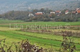 DONJI KOSINJ - obiteljsko gospodarstvo kuća, staja, drvarnica,voćnjak, Perušić, Kuća