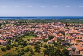 Kuća Prodaja kuće sa bazenom, Vodnjan, Vodnjan, بيت