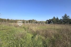 Istra, Rovinj, građevinsko zemljište 4400m2 u zoni M1, Rovinj, Land