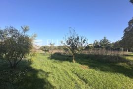 Istra, Rovinj, građevinsko zemljište 4400m2 u zoni M1, Rovinj, Land