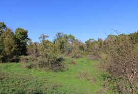 Istra, Hrboki kamena kuća na građevinskoj parceli od 864 m2 i 10 829 m2 poljoprivrednog, Barban, Famiglia