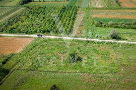 Građevinsko zemljište - GOLOGORIČKI DOL, Pićan, Land