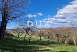 ISTRA, MOTOVUN - Zemljište s impresivnim pogledom, Motovun, Terrain