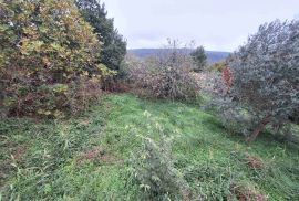 Kuća sa šternom i pomoćnim objektom, Labin,okolica, Istra, Labin, Kuća