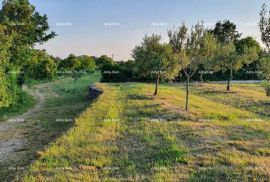 Građevinsko zemljište Marčana Filipana, građevinski teren., Marčana, Tierra