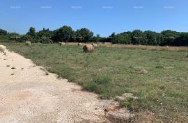 Poljoprivredno zemljište Prodaja poljoprivrednog zemljišta, Ližnjan,  2000 m², Ližnjan, Arazi