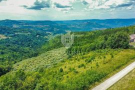 Prilika! Motovun, zemljište 5800 m2 sa panoramskim pogledom na zelenilo!, Motovun, Zemljište