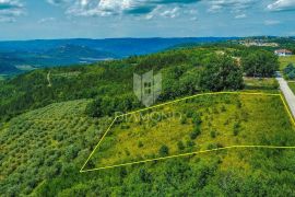 Prilika! Motovun, zemljište 5800 m2 sa panoramskim pogledom na zelenilo!, Motovun, Zemljište