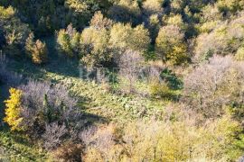 Bribir - zemljište pravilnog oblika u mirnom okruženju, Vinodolska Općina, Terra