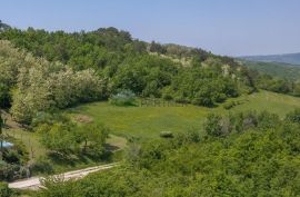 Građevinsko i poljoprivredno zemljište s pogledom na Motovun, Istra, Motovun, Terra