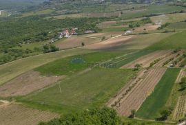 Građevinsko i poljoprivredno zemljište s pogledom na Motovun, Istra, Motovun, Terra