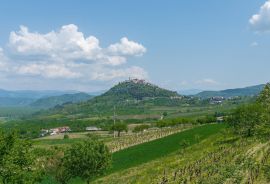 Građevinsko i poljoprivredno zemljište s pogledom na Motovun, Istra, Motovun, Terra