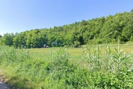 Građevinsko i poljoprivredno zemljište s pogledom na Motovun, Istra, Motovun, Terra