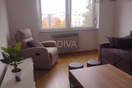 Slavonski Brod, Apartamento