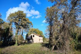 ISTRA - KUĆA S VELIKIM TERENOM, Višnjan, Kuća