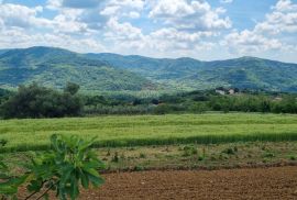 Istra, okolica Motovuna, Vrh, građevinsko zemljište, Motovun, Γη