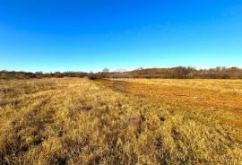 Poljoprivredno zemljište , Umag , Istra , 400 m2, Umag, Land