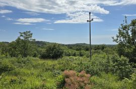 ISTRA, BUJE - TOP ponuda! Građevinsko zemljište s dozvolom za 5 vila s bazenom, prekrasan pogled na more, prilika!, Buje, Land