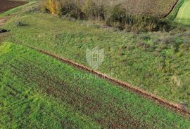 Središnja Istra, zemljište sa građevinskom dozvolom, Gračišće, Zemljište