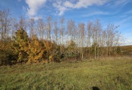 Središnja Istra, zemljište sa građevinskom dozvolom, Gračišće, Zemljište