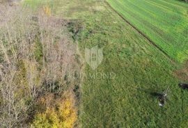 Središnja Istra, zemljište sa građevinskom dozvolom, Gračišće, Zemljište