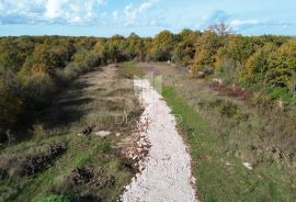 Svetvinčenat, odlično zemljište na mirnoj lokaciji, Svetvinčenat, Zemljište